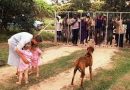 Zimbabwe to Return 67 Seized Farms to European Nationals