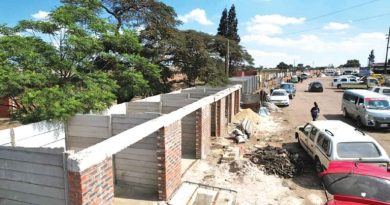 Tuckshops sprout along school perimeter wall