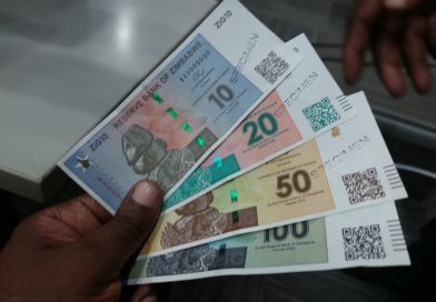 World Bank warns Zimbabwe against rushing to make ZiG sole currency