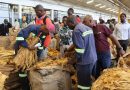 TIMB orders buyers to all auction floors amid pricing crisis