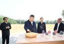 Xi Focus: Xi calls for solid measures to modernize agriculture, rural areas