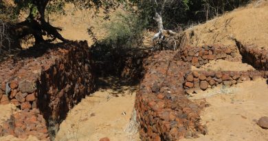 Community Heals Land and Spirit After Cyclone Eline