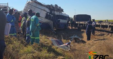 Mnangagwa declares Triangle collision a national disaster