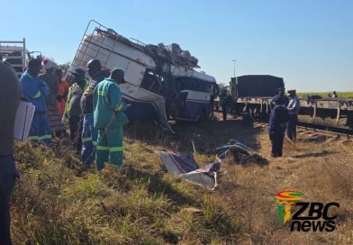 Mnangagwa declares Triangle collision a national disaster
