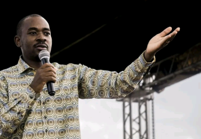 “Shameful Betrayal”: Chamisa Slams CCC MPs Who Backed ZANU PF On CAB3 “Shameful Betrayal”: Chamisa Slams CCC MPs Who Backed ZANU PF On CAB3