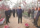 Xi Story: How Xi’s inspection detour leads to a program reshaping rural China