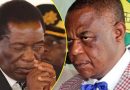 Chamisa says Mnangagwa digging his own grave by forcing Constitution Amendment Bill 3 on Zimbabweans