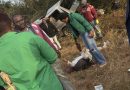 Two Dead, Two Injured in Harare-Masvingo Road Crash