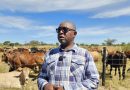 Marapira divorce case exposes rosy life in Zanu PF politics