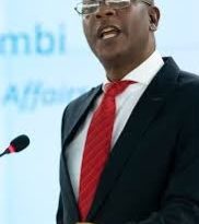 Government rules out special fund, tells SA returnees to pursue rural projects