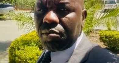 Zanu PF Bulawayo councillor removed over fraud conviction