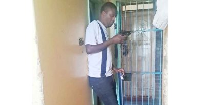 Harare man humiliated by sex workers after failing to pay $20 for a one night stand