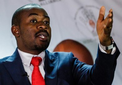 Constitutional Amendment Act null and void — Chamisa Constitutional Amendment Act null and void — Chamisa