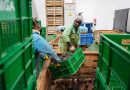 African exporters reap early benefits of China’s zero-tariff treatment