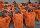 4000 Zimbabweans in SA prisons to serve sentence at home as Pretoria and Harare sign prisoner transfer agreement