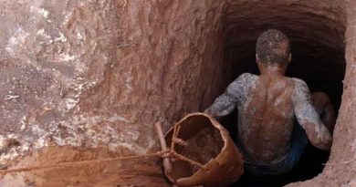 Excavators, explosives — Man arrested for illegally mining for gold in Harare’s leafy suburb for years