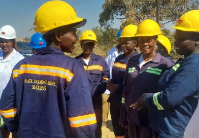 Black Diamond Gold Mine Creates Jobs for Kadoma Youths and Women