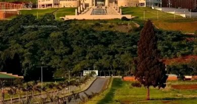 CAB 03 ‘Now Visibly in Motion’ as 10 New Senators Are Appointed