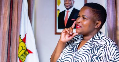 CAB3 Pioneer Mupambi Left Out as Mnangagwa Names 10 Senators