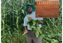 A Gift From Across the Seas: Windfall for St Peters Gospel Apostolic Church – Sungano