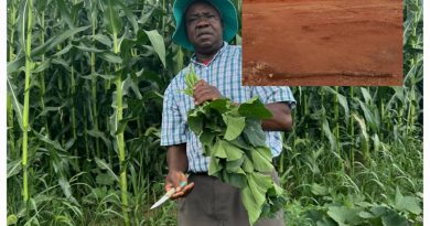 A Gift From Across the Seas: Windfall for St Peters Gospel Apostolic Church – Sungano