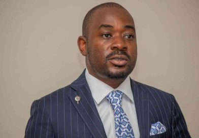 Agenda 2026: Nelson Chamisa’s secret plan to reclaim the state — and the fear of the “infiltrators”