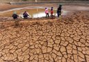Zimbabwe Faces Worst Food Deficit Since 1950