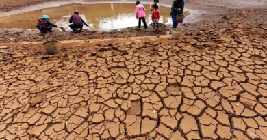 Zimbabwe Faces Worst Food Deficit Since 1950