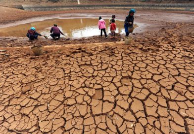 Zimbabwe Faces Worst Food Deficit Since 1950