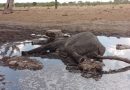 Super El Nino could halve Zimbabwe’s 2027 economic growth