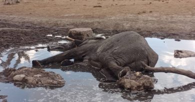 Super El Nino could halve Zimbabwe’s 2027 economic growth Super El Nino could halve Zimbabwe’s 2027 economic growth