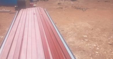 THE FOURTH ESTATE IGNITES DEVELOPMENT: HOW MEDIA AMPLIFIED THE CRY OF ST PETERS GOSPEL APOSTOLIC CHURCH – SUNGANO MUSUNGWA VILLAGE