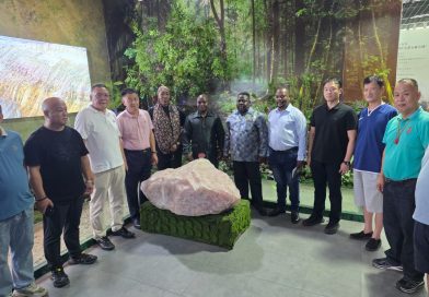 ZANU PF Economic Mission to China Targets Value Addition as Trade Surpasses US$2.4 Billion ZANU PF Economic Mission to China Targets Value Addition as Trade Surpasses US$2.4 Billion