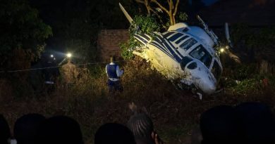 Wicknell Chivayo: Zimbabwean Businessman Killed in Chopper Crash
