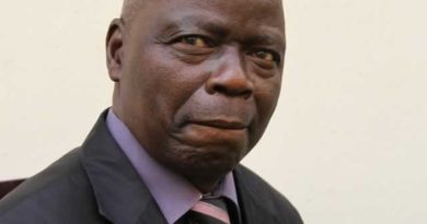 Mavhaire Sets Record Straight Following High Court Access Order on Masvingo Property, Citing School and Farm Security for Boom Gate Installation