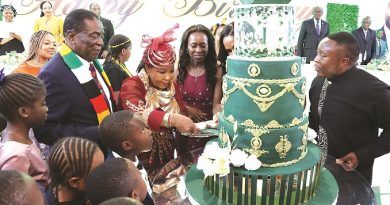 Mnangagwa birthday bash ends in tragedy as father, son die