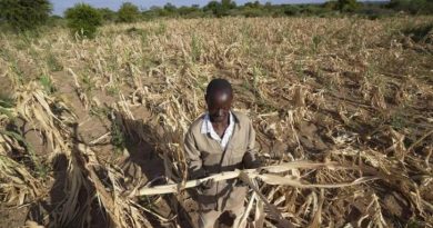 MSD forecasts hotter and drier 2026/27 summer season as El Niño persists MSD forecasts hotter and drier 2026/27 summer season as El Niño persists