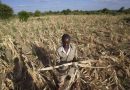 Fears grow over drought relief fund looting