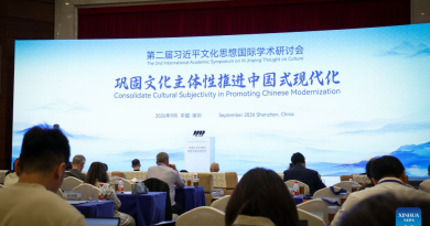 China Focus: Think tank report highlights value of China’s new popular literature, art