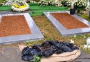 Chivayos’ graves sealed with fast drying concrete to deter grave robbers