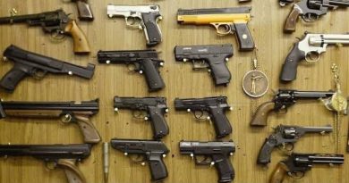 Zimbabweans link Mnangagwa’s guns amnesty to factional fight with VP Chiwenga