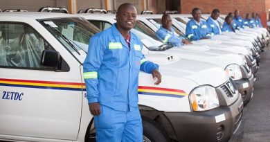ZESA launches door-to-door nationwide survey on household power use