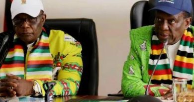 Mnangagwa warns Zanu PF’s Regioni