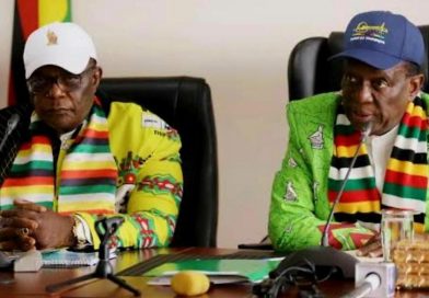 Mnangagwa warns Zanu PF’s Regioni Mnangagwa warns Zanu PF’s Regioni